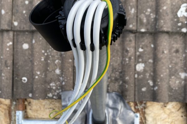 image00006 image00006