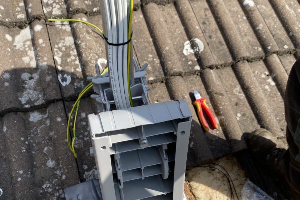 image00008 image00008