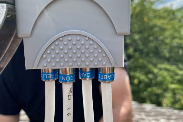 image00011 image00011