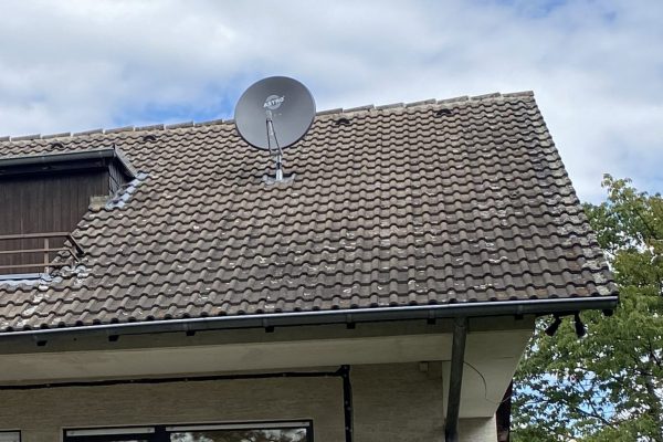 image00019 image00019